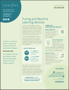 Screenshot of the first page of our Tuning and Machine Learning Services data sheet
