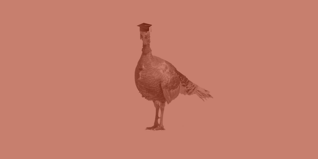 Artificial Turkey Intelligence – How Smart Are They?